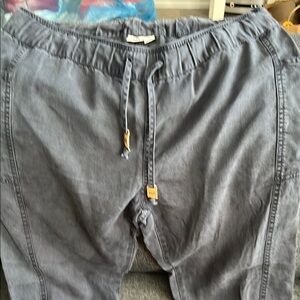 tentree Gray Track Pants